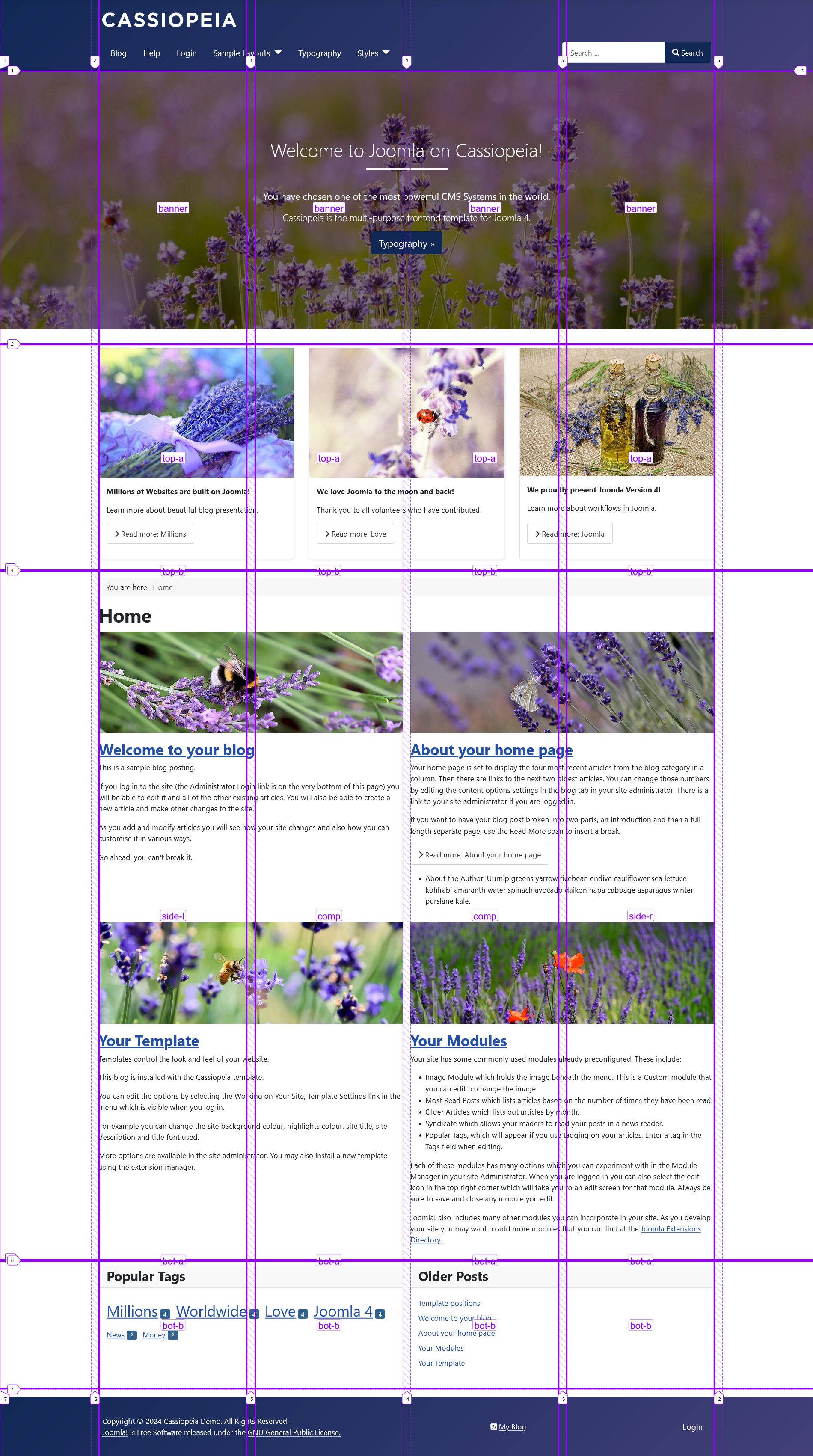 Screenshot von Cassiopeia mit Grid-Linien